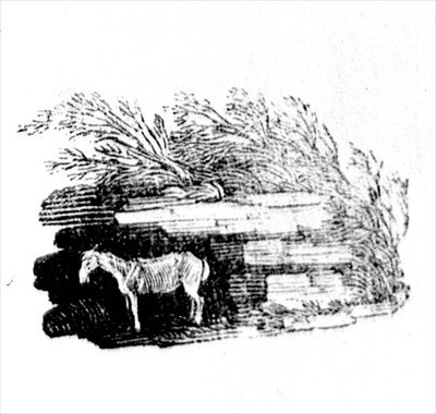 Un asino da Storia degli uccelli e quadrupedi britannici da Thomas Bewick